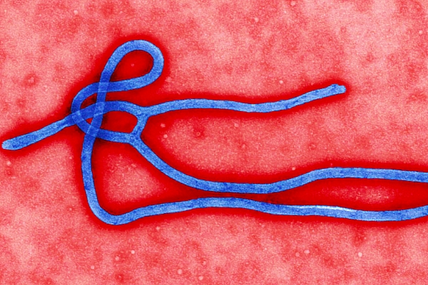 Carnival Cruise Passenger In On-Board Ebola Quarantine