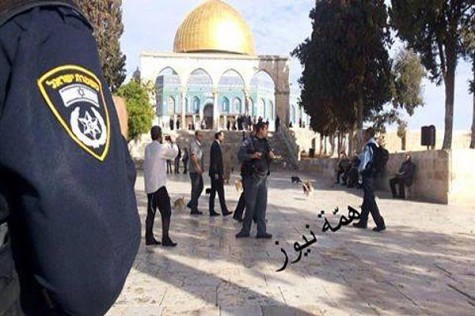 Arabs photograph edand distributeed pictures of Moshe Feiglin on the Temple Mount, Nov. 2, 2014.