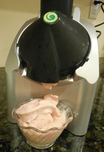 Eller-060515-Yonanas