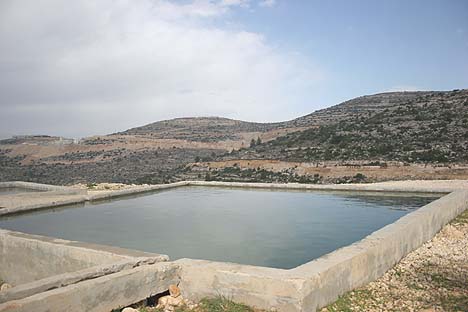 Water spring in Samaria./ Avishai Zorzinsky, Tazpit News Agency.