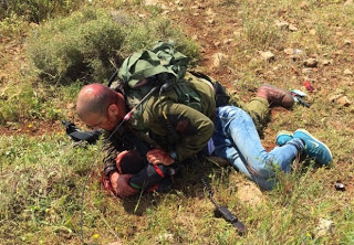 An IDF soldier subdues a Palestinian assailant after he was stabbed near Oranit