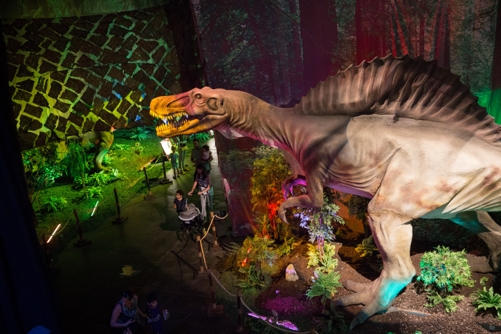 Dinosaurs