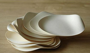 Eller-040414-Dishes
