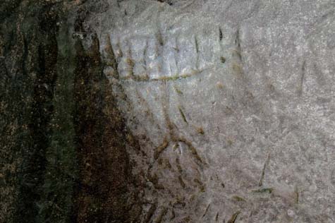 Engraving of a seven-branched menorah. Photo credit: Saʽar Ganor, IAA.