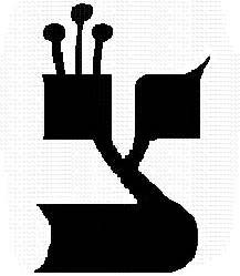 Image2