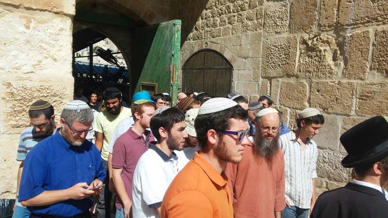 Jews visiting the Temple Mount on the 9 B'Av week / Photo credit: Courtesy Temple Organizations Headquarters