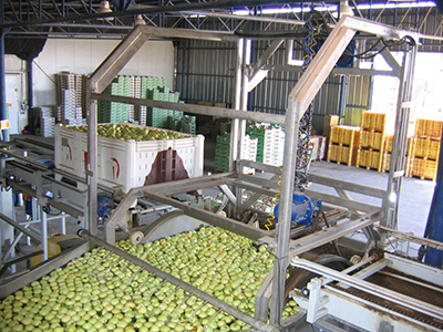 Lewis-052915-Sorting