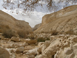 Negev-061512-3