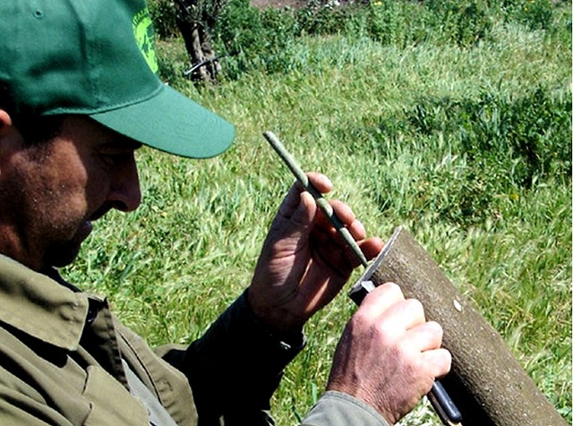 The Italian grower makes an incision for the graft. Read more at http://libertyunyielding.com/2015/01/04/passion-olive-trees-settlers-pelt-u-s-diplomatic-personnel-west-bank-video/#sGoOoAeTfE4tsLTX.99