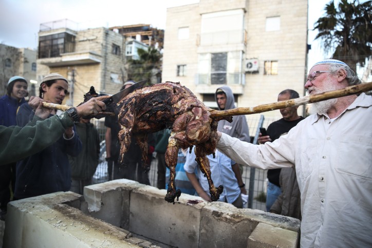 Pesach Sacrifice 2015 6