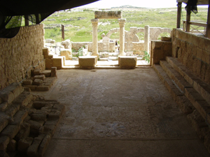 Pollack-112312-Susya