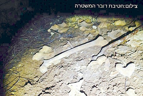ancient bones discovered Gush Etzion