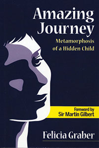 book-amazing-journey