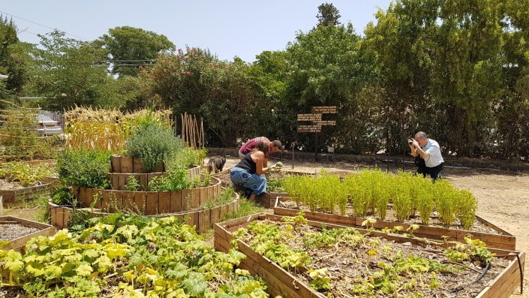 Hashomer hachadash - planting | inspirationfromzion.com