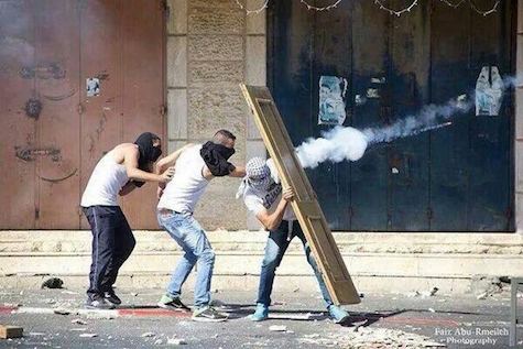shuafat 3