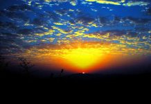 The Soul of Israel: The Two Paths of Life- Fear or Desire