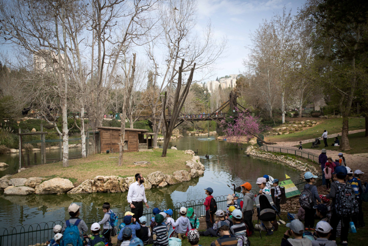 A Day at the Zoo