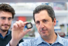 Promising Hebrew U / Mt. Sinai Research May Downgrade Covid-19 Threat to Common Cold Levels