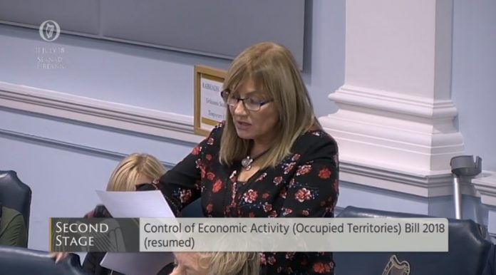 Irish Senator Frances Black speaking in favor of her bill to boycott goods from Israeli settlements screenshot