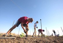 Knesset Committee Allows Non-Israeli Diaspora Jews to Enlist in Israel’s National Service