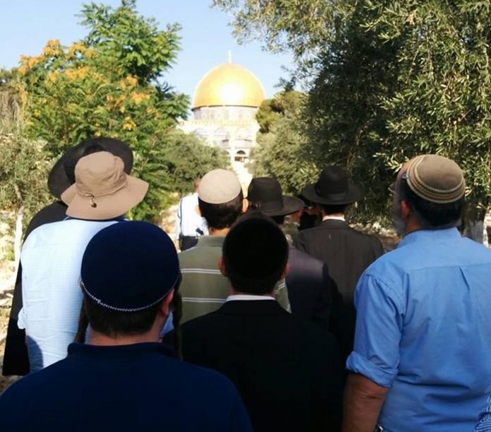 Jews on Temple Mount without Waqf