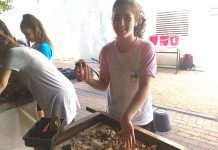 Temple Mount Sifting Making a Comeback with Sift at Home Project