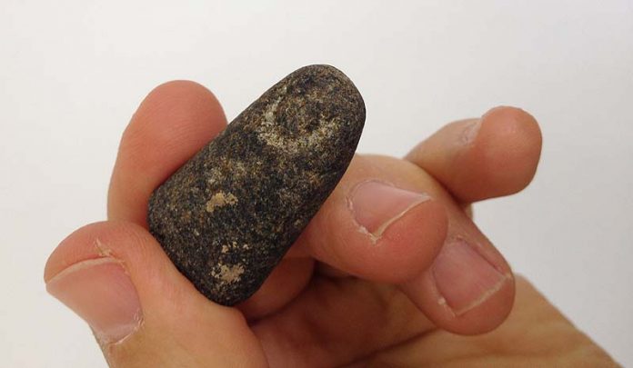Pinky finger of an Egyptian statue discovered by the Temple Mount Sifting Project