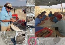 Rejuvenation: 'Show and Tel' at Ancient Shilo